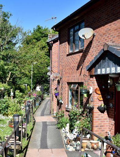 Communal garden area with plants and flowers in bloom on a sunny day 
