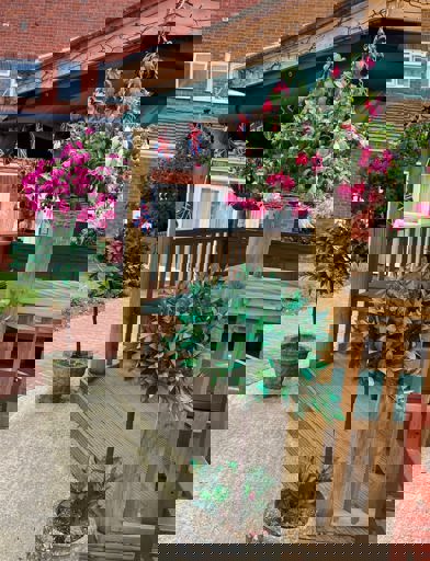 Communal garden area with plants and hanging basket outside Amos Court