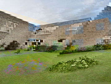 Large grassed area with plants and small hedgerow to the rear of the scheme