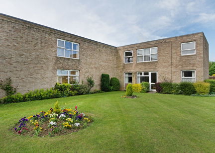 Large grassed area with plants and small hedgerow to the rear of the scheme