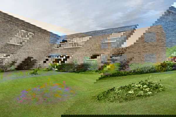 Large grassed area with plants and small hedgerow to the rear of the scheme