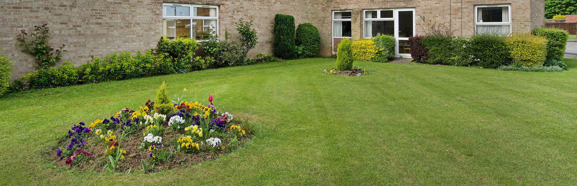 Large grassed area with plants and small hedgerow to the rear of the scheme