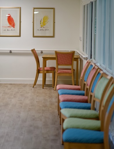 An image of chairs line up against a wall with imagery of birds on a plain white wall at Penfold Court in London 