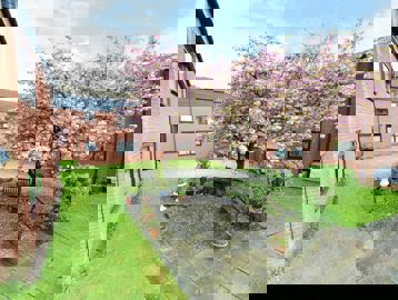 Image (64)