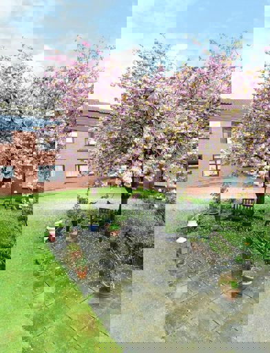 Image (64) 
