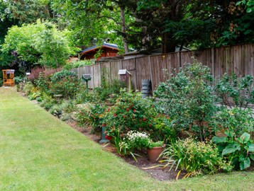 Garden with lawn and large border with variety of plants and a bench