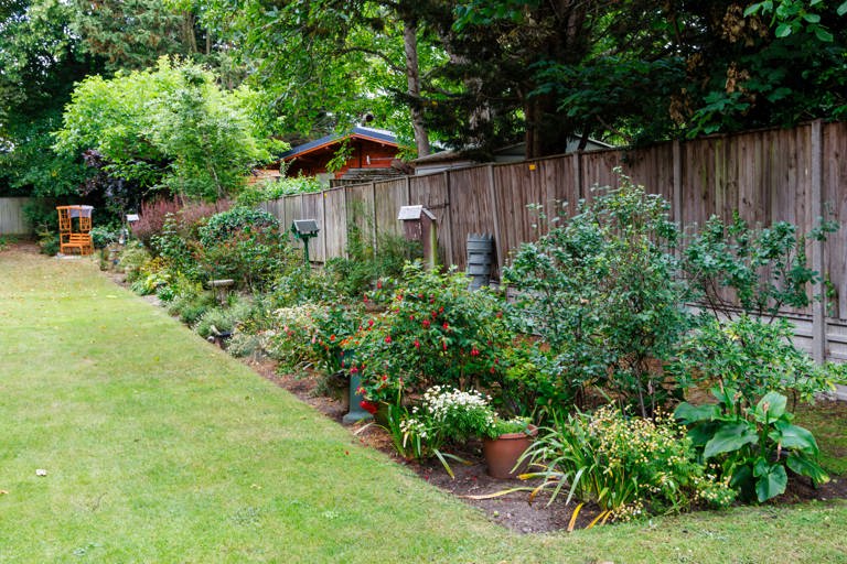 Garden with lawn and large border with variety of plants and a bench