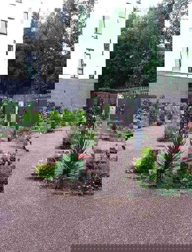 Image (1) 