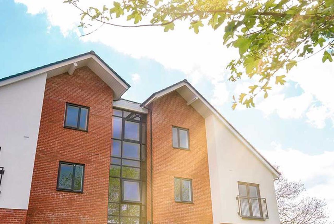 Outside of the scheme at Lavender Meadows on a sunny day
