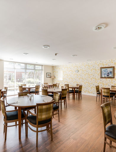 Falcon Court 1 