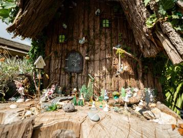 A fairy garden
