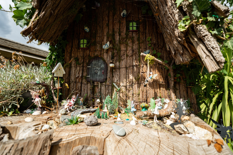 A fairy garden