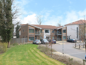 5410 Pine Court 006