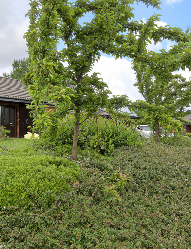 Denfield Square Hx3 01