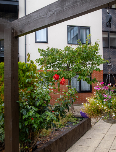 A photo of the garden area along a pathway under a veranda with hanging baskets and plants