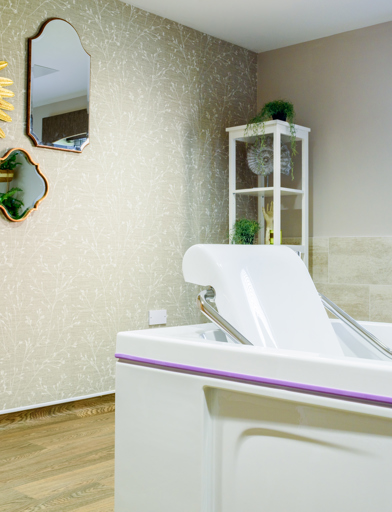 Assisted bathroom with bath and hoist and modern decor 