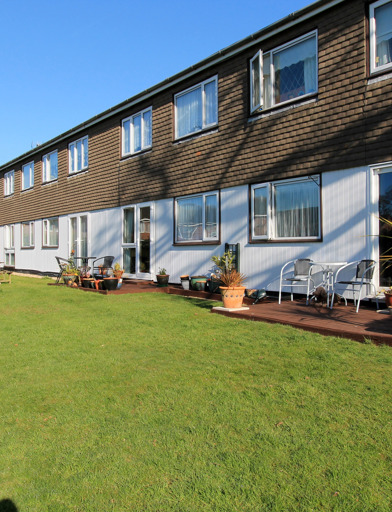 Communal gardens with plants and seating on a large grassed area 